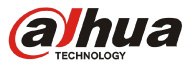 Dahua Technology